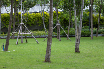 Lush Urban Park with Trees and Benches