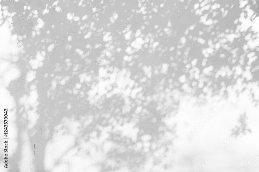 Fototapete trees branch and leaf with shadow on a white concrete wall. leaf pattern. blurred background.