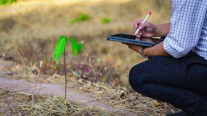 Sustainable growth concept. Researcher examining young tree seedling with digital tablet....