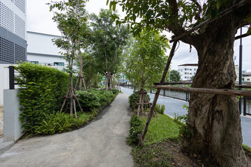 Obraz premium Lush Urban Park with Trees and Benches