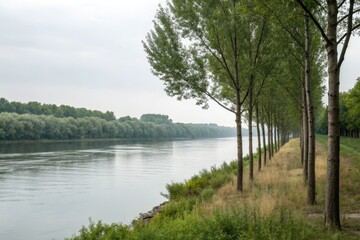 Simple linear trees create a sense of balance on a minimalist riverbank, riverbank, water, nature, modern
