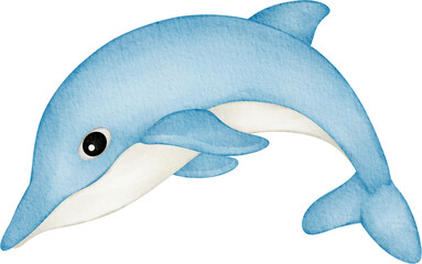 watercolor dolphin
