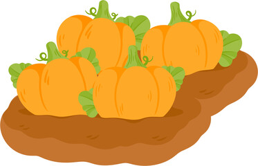 illustration pumpkin