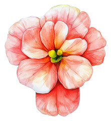 A minimalist watercolor Easter cross with soft pastel hues, representing simplicity and devotion, on a transparent background.