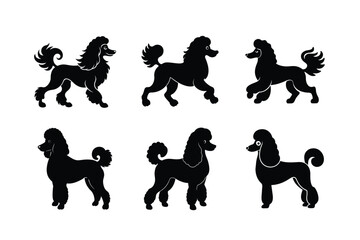 Poodle silhouette design set on white background