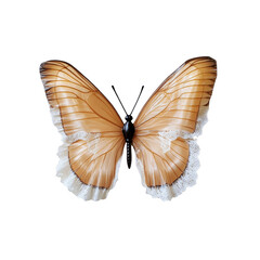 Delicate Beige Butterfly with Lacy Edges Isolated on Transparent background