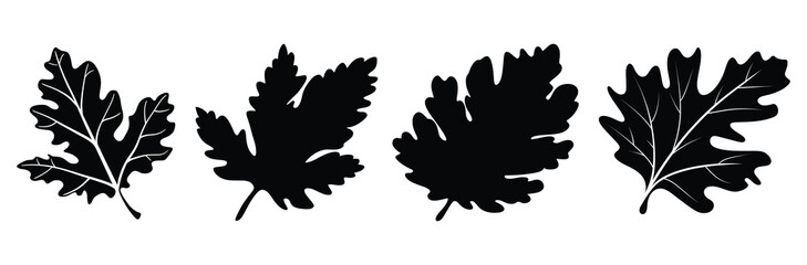 set of oak leaf silhouette vector illustration