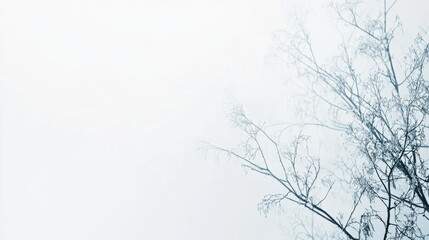 Delicate pastel strokes and branches create a serene minimalist artwork on a white canvas