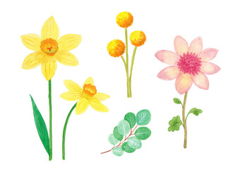 Obraz premium Watercolor flower hand drawing illustration