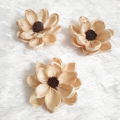 dried corn husk flower