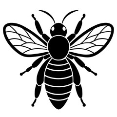 Buzzing Honeybee Collecting Nectar from Vibrant Spring Blossoms