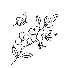 Fototapeta premium Spring flowers