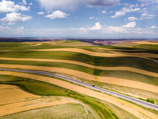 Fototapeta premium Wheat fields in the golden autumn in Tacheng, Xinjiang, China