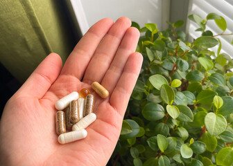 a set of dietary supplements in the palm of your hand on a green natural background