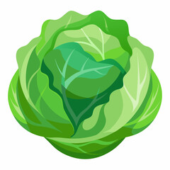 Cabbage isolated white