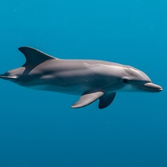 Naklejka premium Dolphin 