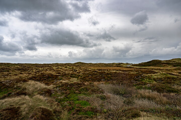Cloudy Sky Over Grassy Hills, Den Hoorn, Texel, Netherlands