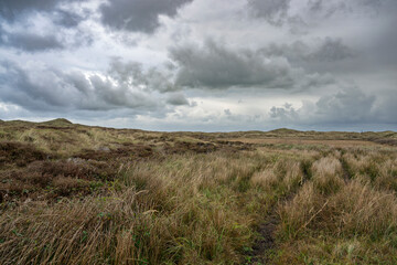 Moody Landscape with Grassy Field and Cloudy Sky, Den Hoorn, Texel, Netherlands