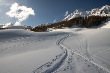 Serene Winter Trail in the French Alps