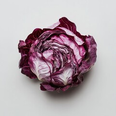 Fototapeta premium Fresh red cabbage showcasing vibrant color and texture on a plain background, emphasizing its natural beauty and crisp freshness