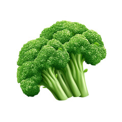 Fresh Green Broccoli Florets - Healthy Vegetable Close-up