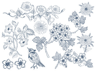 This botanical illustration is a beautiful features a variety of Sakura Blossom, Dahlia, Chrysanthemum, plum tree a small bird all drawing outline elements isolated