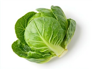 Fototapeta premium Fresh green cabbage with crisp leaves.