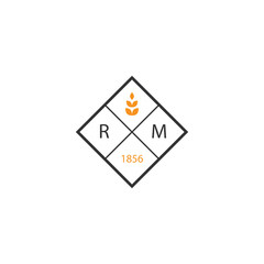 Premium Branding Logo Template