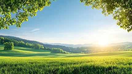 A serene landscape of rolling green fields under a bright blue sky at sunrise, surrounded by trees. This picturesque view embodies tranquility and the beauty of nature.