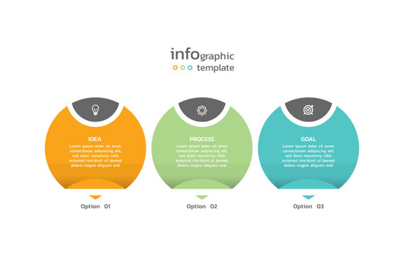Business infographic  background colorful design