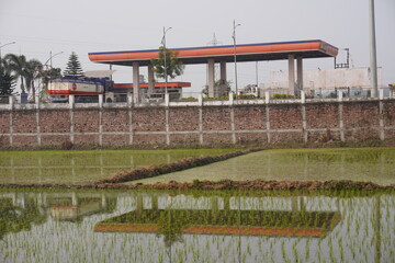 The petrol pump has been resided behind the paddy field 