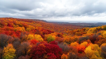 Aerial View Of Vibrant Autumn Forest Under Cloudy Sky