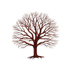 Obraz premium Majestic Red Oak Tree with Delicate Spring Buds - Isolated on Black