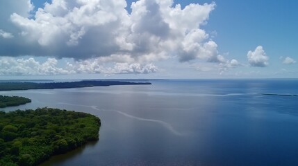 Fototapeta premium Coastal mangrove forest aerial view, calm ocean, cloudy sky, tropical landscape, travel tourism