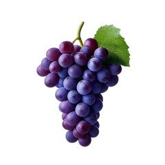 Fresh bunch of grapes suspended against transparent background with copy space