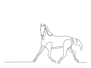 Continuous line art drawing of beautiful wild horse. Running horse in single line art drawing vector illustration. Editable stroke.