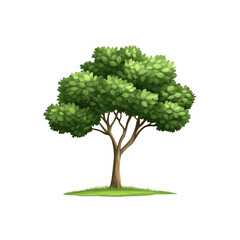 Lush Green Tree on Grassy Knoll - Isolated on Transparent background