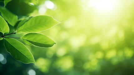 Fresh green leaves glistening in sunlight amidst a serene forest setting. Generative AI