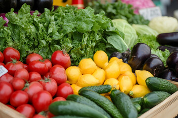 Healthy eating app tracking nutrition with fresh veggies