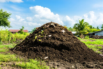 Heap of natural compost material in a rural farmyard setting
