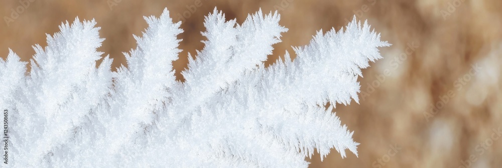 Poster close-up of delicate snowflakes with intricate patterns on a blurred background