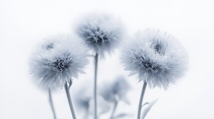 Surreal Blue Flowers in Minimalist Composition, Evoking Tranquility and Natural Elegance