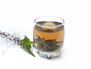 Boiled water cat whiskers leaves in glass on white background, healthy drink lifestyle 