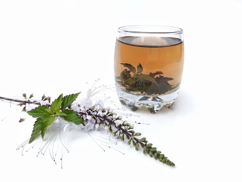 Boiled water cat whiskers leaves in glass on white background, healthy drink lifestyle 