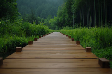Fototapeta premium P A rustic scene of a wooden pathway through