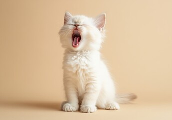Obraz premium Adorable white kitten with fluffy fur yawning, sitting against a soft beige background, capturing a moment of playfulness and cuteness in pet photography.