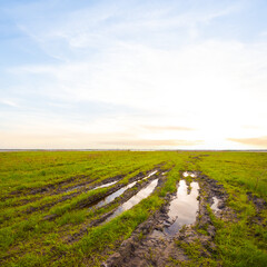 spring flooded green field at the sunset