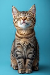 Charming Tabby Cat with Eyes Closed Relaxing Against a Soft Teal Background, Innocent and Playful Expressions Radiating Happiness and Contentment