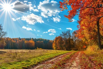 Naklejka premium autumn landscape with sun, blue sky and beautiful trees red and orange foliage rustic vibrant