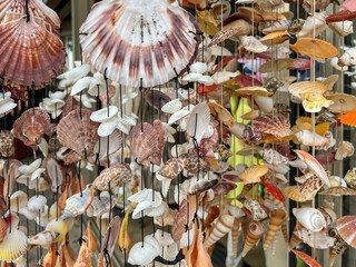 Seashells on strings as decoration, bells, curtains or souvenirs from your presence in Cyprus